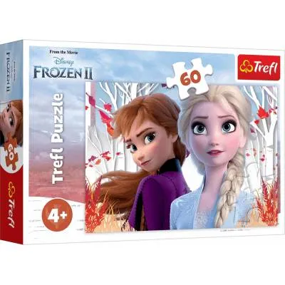 TREFL PUZZLE 60 el.  Zaczarowany świat Anny i Elsy/Froz.17333