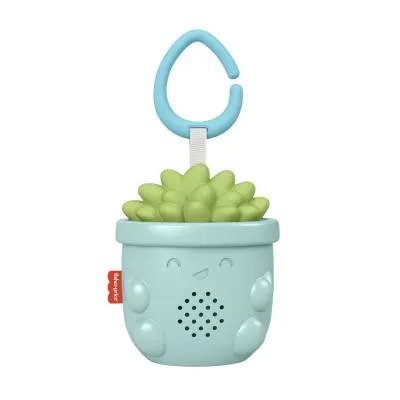 FISHER PRICE ZAWIESZKA SUKULENT USPOKAJACZ GRV07