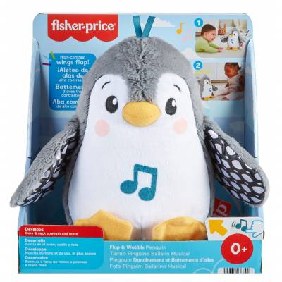 Fisher-Price Muzyczny Pingwinek Kiwaczek HNC10 Mattel