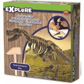SES explore wykopaliska dinozaur