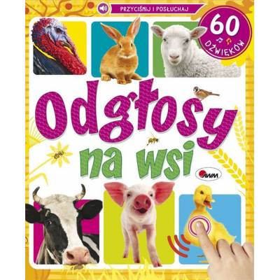 Morex książka odgłosy na wsi 60 dźwięków   