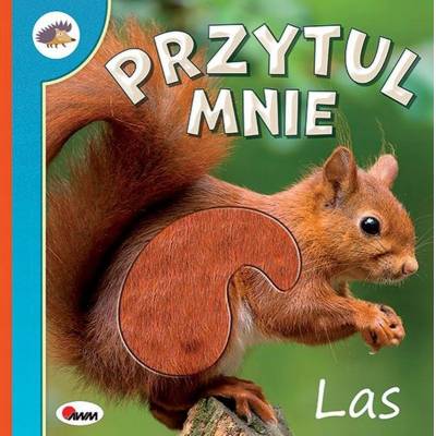 Morex książka przytul mnie las