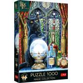 PUZZLE 1000 PremPlus Uczeń czarownicy 10898