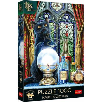 PUZZLE 1000 PremPlus Uczeń czarownicy 10898