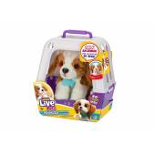 Cobi Little Live Pets Piesek z transporterem 