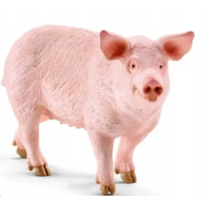 Schleich Figurka świnia
