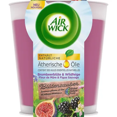 Air Wick Brombeerblute & Wildfeige Świeczka 105g