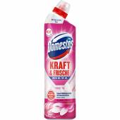 Domestos Kraft & Frische Floral Fresh WC Gel 750ml