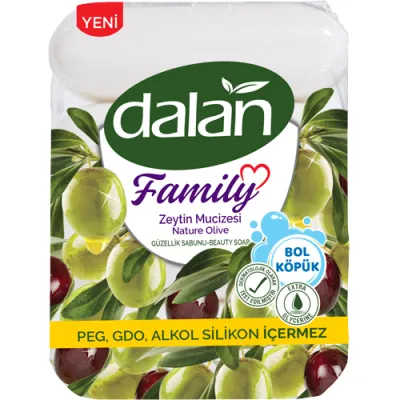 Dalan Family Nature Olive Mydło Kostka 4szt 300g